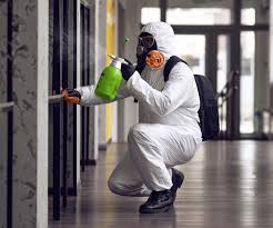 Why You Should Choose Our Mold Remediation Services in Orland, CA